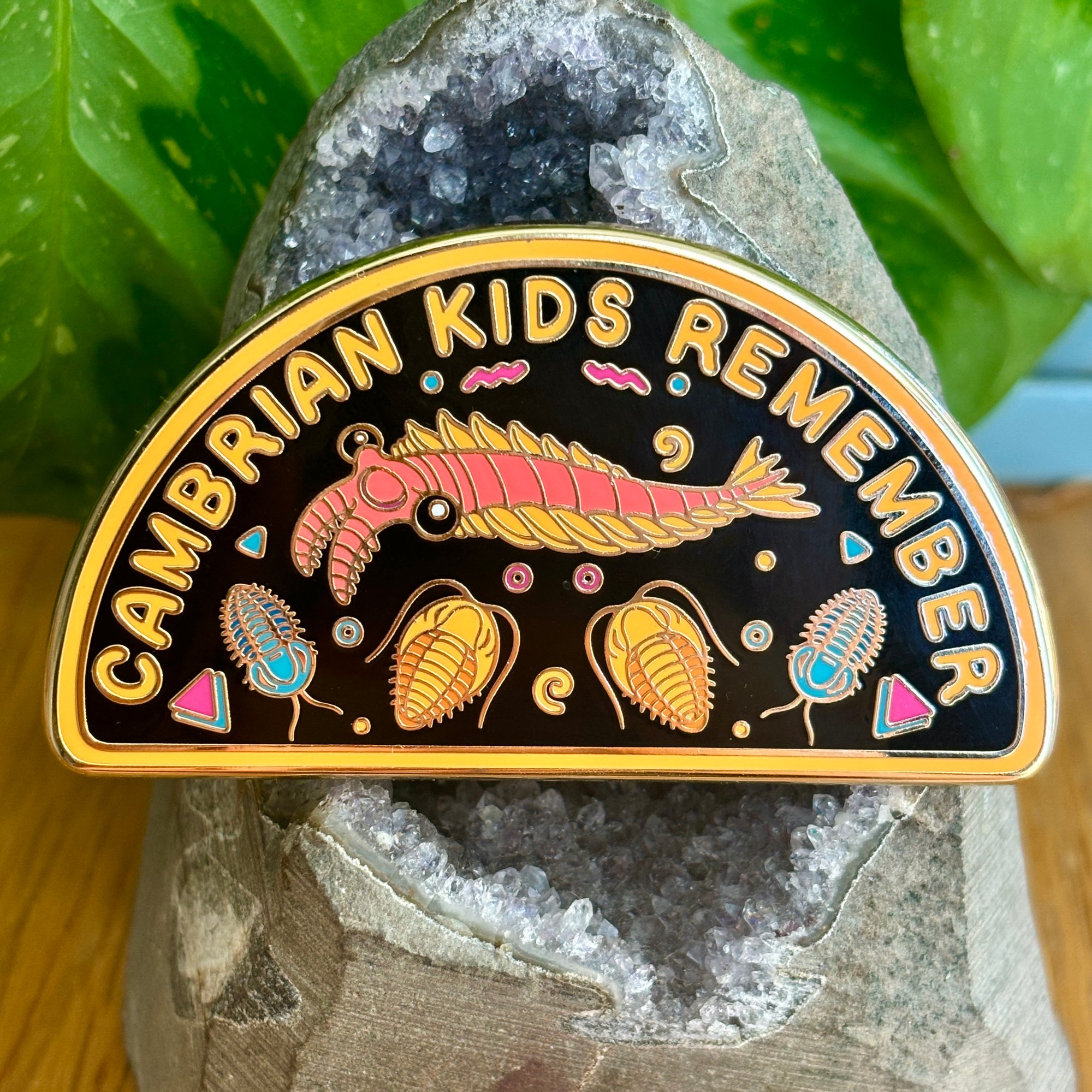 Cambrian Kids Remember Enamel Pin