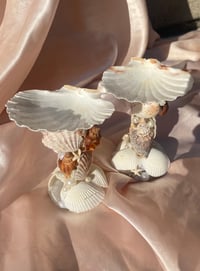 Image 4 of 1 pc Mermaid-core seashell stand for candles or jewelry