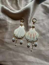 Image 1 of Clam shell earrings