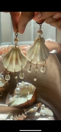 Image 4 of Clam shell earrings