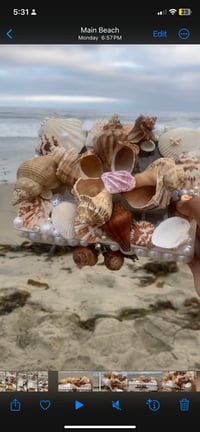 Image 5 of Mermaid-core seashell jewelry box