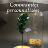 COMMANDE PERSONNALISEE -ALF fée/coléoptère-