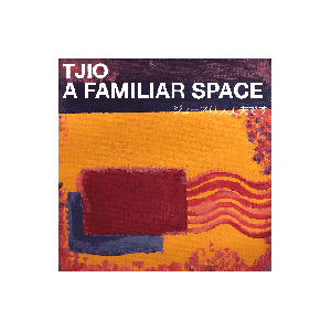 TJIO - A Familiar Space LP on Black Vinyl