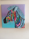 Zebra in America 