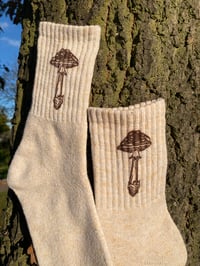 Image 2 of Amanita Muscaria Mushroom Socks