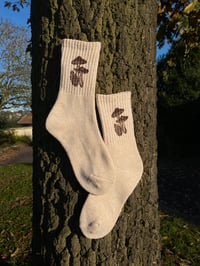 Image 1 of Russula caerulea Mushroom Socks