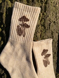 Image 2 of Russula caerulea Mushroom Socks