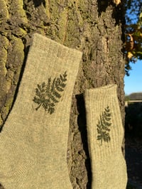 Image 2 of Fern socks