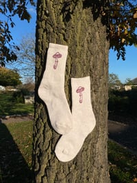 Image 1 of Wood Mushroom socks