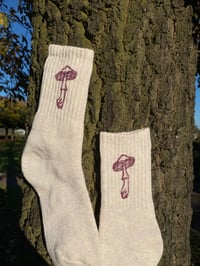 Image 2 of Wood Mushroom socks