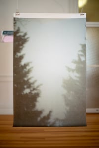 Image 2 of Middle distance (twins) 