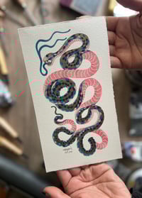 Image 2 of Snake Reductions