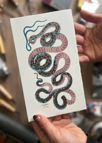 Image 3 of Snake Reductions