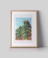 Image 3 of La forêt de Walden #1 (giclee Print, A4)