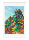 La forêt de Walden #1 (giclee Print, A4)