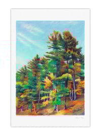 Image 1 of La forêt de Walden #1 (giclee Print, A4)