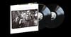 Smashing Pumpkins Rotten Apples (Greatest Hits) 2LP NEW