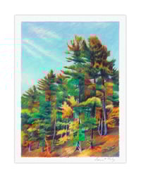 Image 1 of La forêt de Walden #1 (giclee Print, A5)