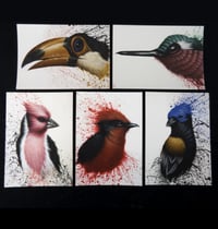 Image 1 of lot de 5 cartes postales "animaux 1"