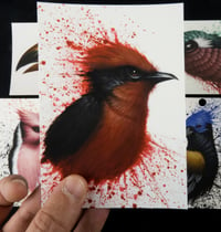 Image 2 of lot de 5 cartes postales "animaux 1"