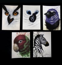 Image 1 of lot de 5 cartes postales "animaux 3"