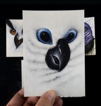 Image 2 of lot de 5 cartes postales "animaux 3"