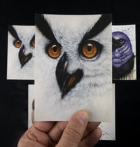 Image 3 of lot de 5 cartes postales "animaux 3"