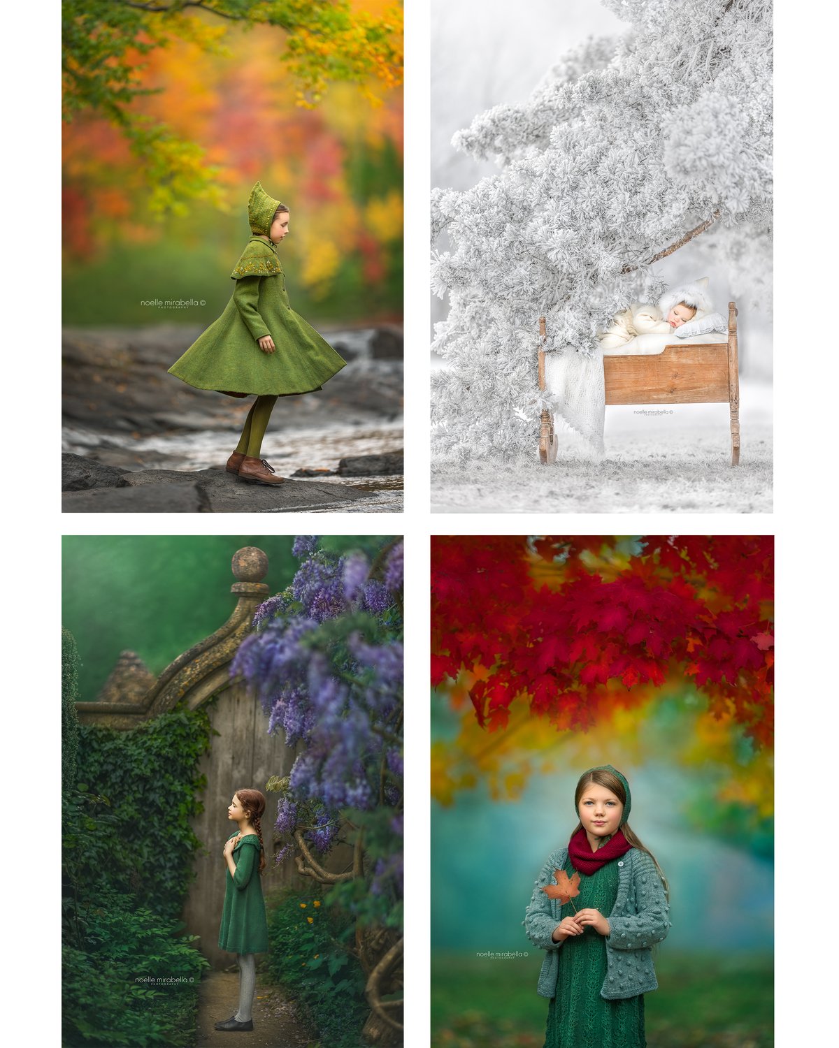 Image of One Week Four Seasons Online Workshop: Feb 17th to 23rd, 2025