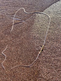 Image 3 of MUSTON NECKLACE