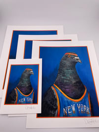 Image 2 of Knicks Pigeon Print