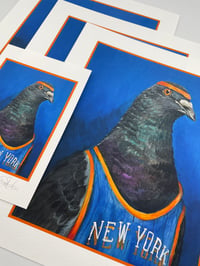 Image 4 of Knicks Pigeon Print