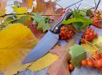 Image 2 of Small Skinner Style edc Knife