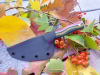 Image 3 of Small Skinner Style edc Knife