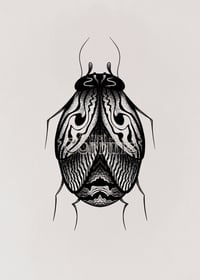 Image 1 of Little Beetle 5”x7”