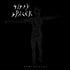 Sissy Spacek – Diaphanous and Reversed Normalization LPs Batch Image 2