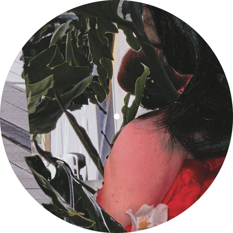 Sissy Spacek – Diaphanous and Reversed Normalization LPs Batch Image 3