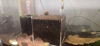 Image 5 of (1 Left!) Under Gravel Filter Box