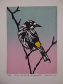 Original linocut of the Australian New Holland Honeyeater (5 left)