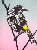 Original linocut of the Australian New Holland Honeyeater (5 left)