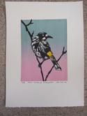 Original linocut of the Australian New Holland Honeyeater (5 left)