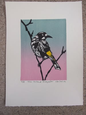 Image of Original linocut of the Australian New Holland Honeyeater (5 left)