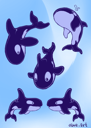 Orca sticker sheet