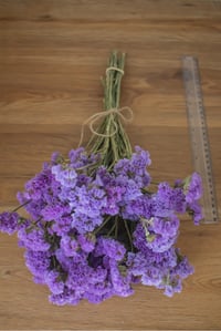 Image 3 of Dried Statice BUNCHES