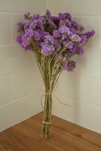 Image 5 of Dried Statice BUNCHES