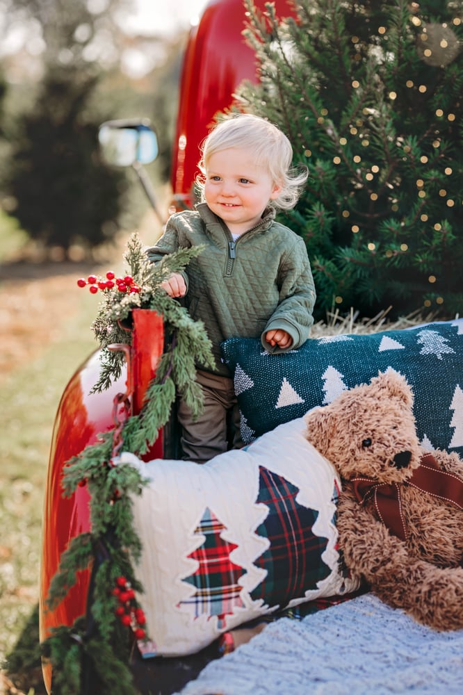 Image of CHRISTMAS RED TRUCK MINI SESSION / SUNDAY/ NOVEMBER 3rd, 2024