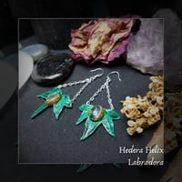 Image 1 of ☽ Hedera Labradora ☾