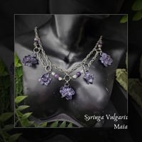 Image 1 of ☽ Syringa Maia ☾