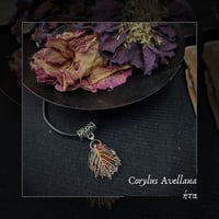 Image 5 of ☽ Corylus Avellana ☾