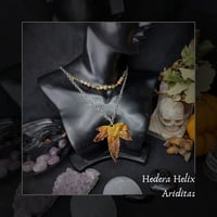 Image 1 of ☽ Hedera Ariditas ☾