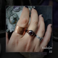 Image 2 of ☽ Eudialyte ☾